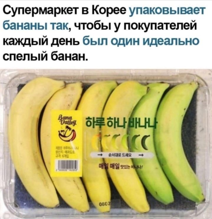 Супермаркет в Корее упаковывает бананы так чтобы у покупателей каждый день был один идеально спелый банан