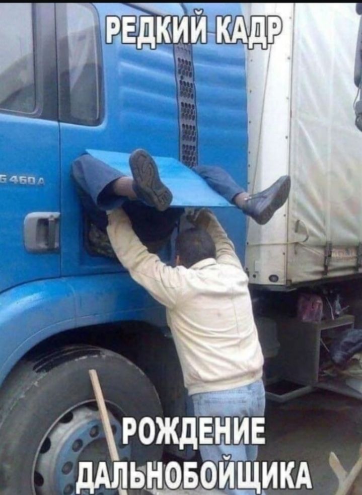 рожлвнив ьновоищикд У