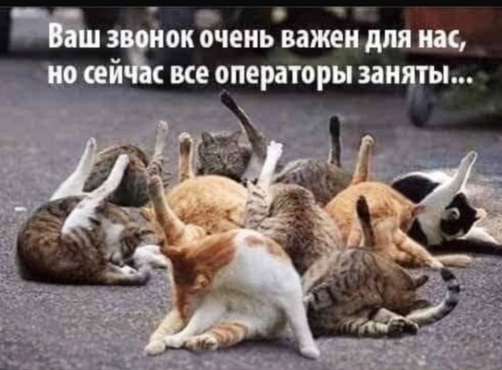 ок очень важендля на гей все операторы заняты