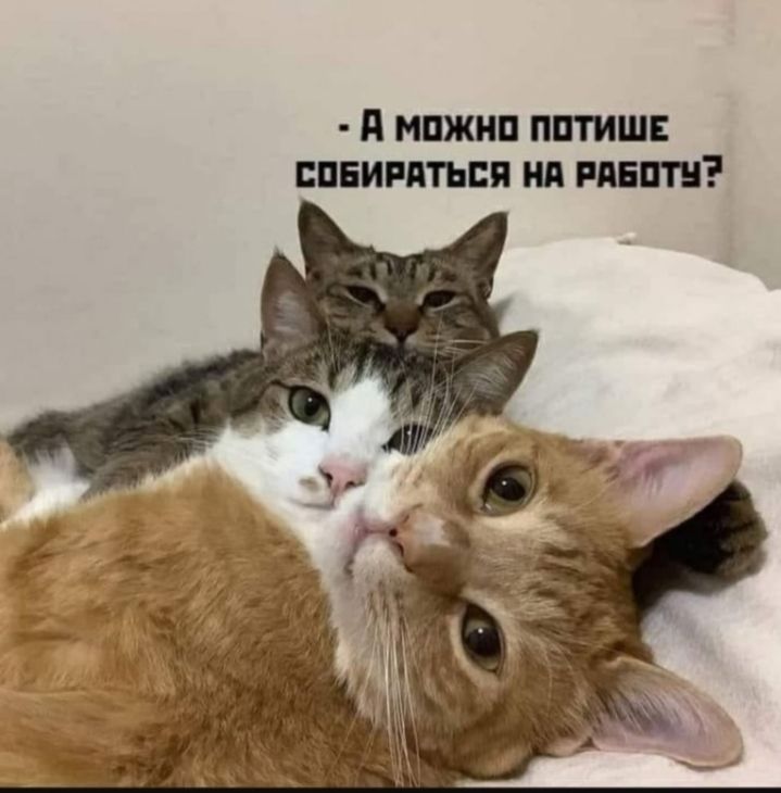 д МПЖНП ППТИШЕ ВПЕИРПТЬЕП Ш Ш