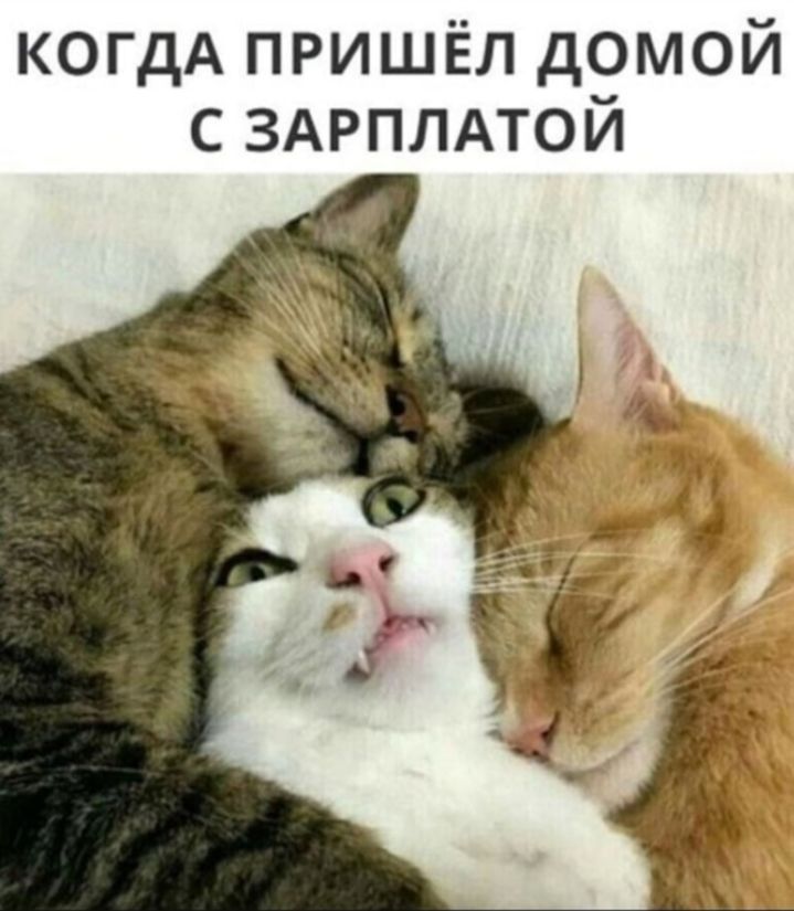 КОГДА пришёл домой с ЗАРПЛАТОЙ