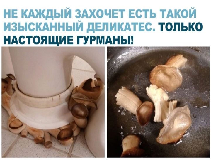 НЕ КАЖДЫЙ СёАХОЧЕТ ЕСТЬ ТАКОЙ ИЗЫСКАННЫИ дЕЛИКАТЕС ТОЛЬКО НАСТОЯЩИЕ ГУРМАНЫ _