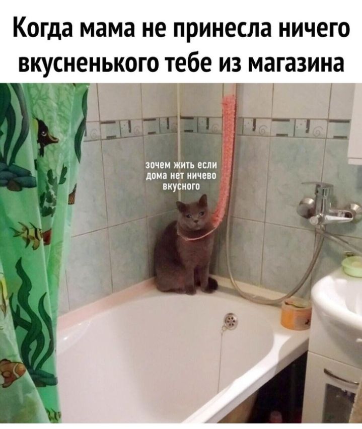 когда мама не принесла НИЧЕГО ВКУСНЕНЬКОГО тебе ИЗ магазина дама и ничем _ вкуіивго