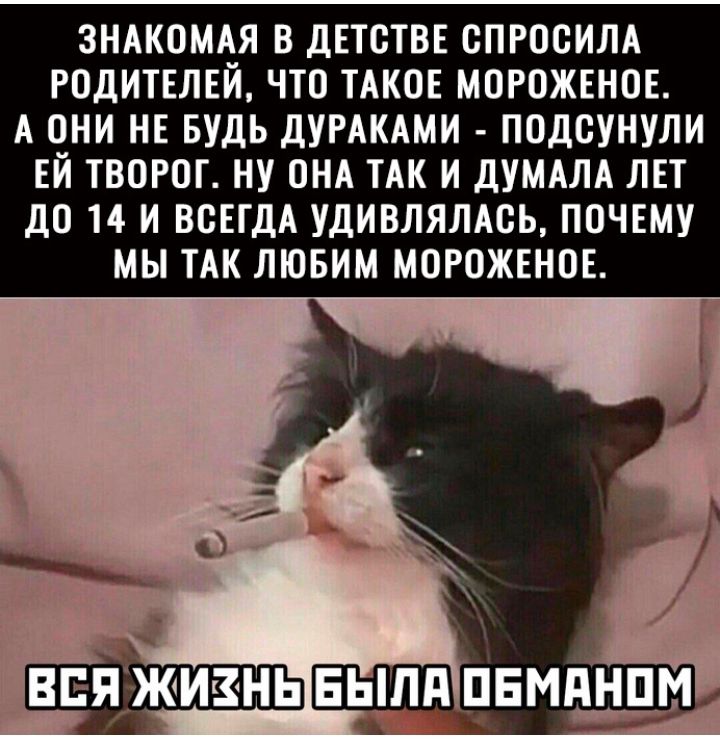 ЗНАКОМАЯ В ДЕТОТВЕ ОПРООИЛА РОДИТЕЛЕЙ ЧТО ТАКОЕ МОРОЖЕНОЕ А ОНИ НЕ БУДЬ ДУРАКАМИ ПОДОУНУЛИ ЕЙ ТВОРОТ НУ ОНА ТАК И ДУМАЛА ЛЕТ ДО 14 И ВОЕТДА УДИВЛЯЛАОЬ ПОЧЕМУ МЫ ТАК ЛЮБИМ МОРОЖЕНОЕ ввяжитнь выпи двмдп