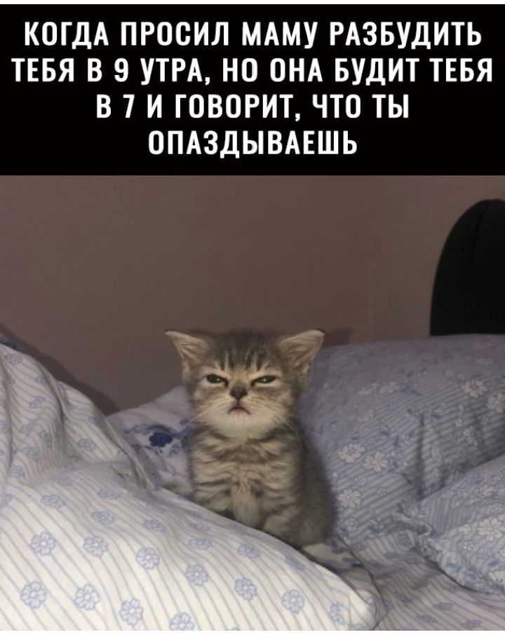 КОГДА ПРОСИЛ МАМУ РАЗБУДИТЬ ТЕБЯ В 9 УТРА НО ОНА БУДИТ ТЕБЯ В 7 И ГОВОРИТ ЧТО ТЫ ОПАЗДЫВАЕШЬ