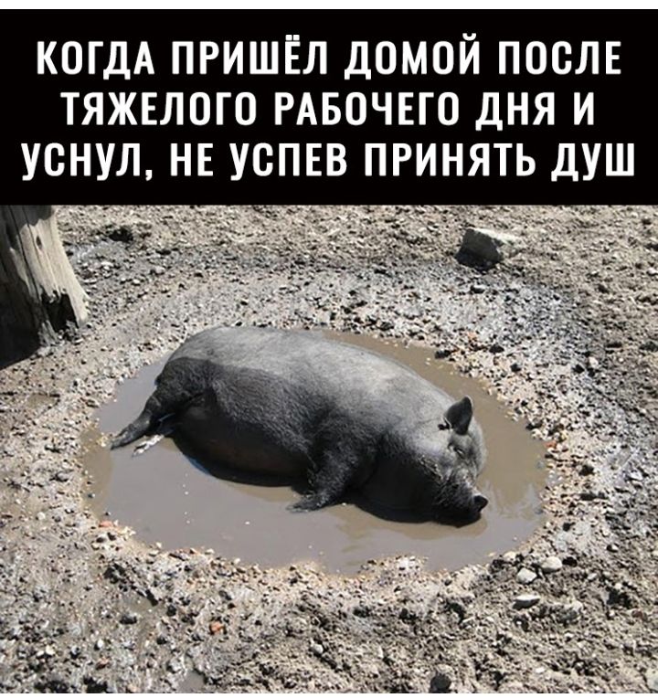 КОГДА ПРИШЁЛ ДОМОЙ ПООЛЕ ТЯЖЕЛОГО РАБОЧЕГО ДНЯ И УОНУЛ НЕ УСПЕВ ПРИНЯТЬ ДУШ