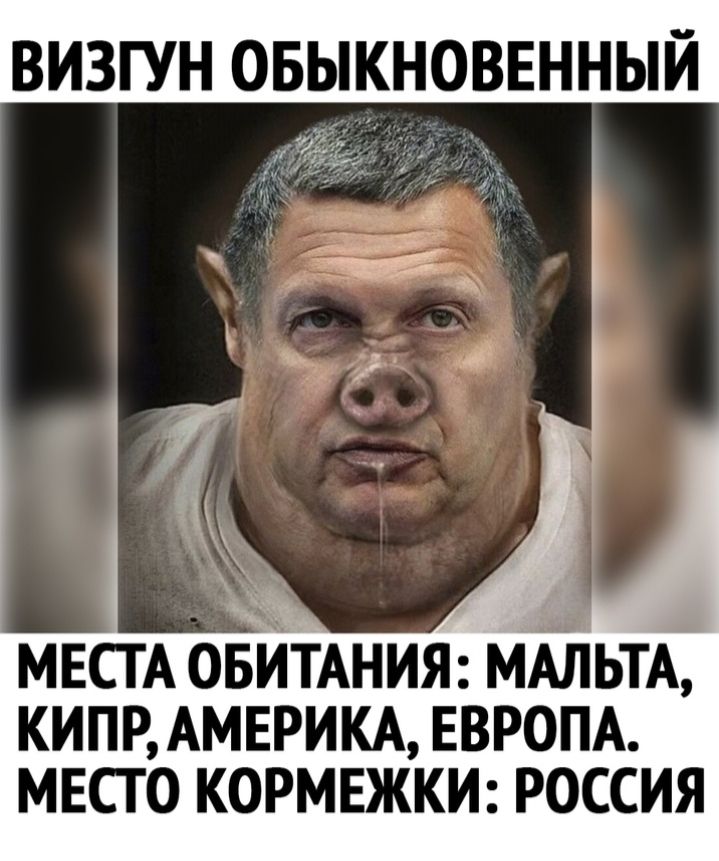 ВИЗГУН ОБЫКНОВЕННЫЙ 29 МЕСТА ОБИТАНИЯ МАЛЬТА КИПР АМЕРИКА ЕВРОПА МЕСТ О КОРМЕЖКИ РОССИЯ