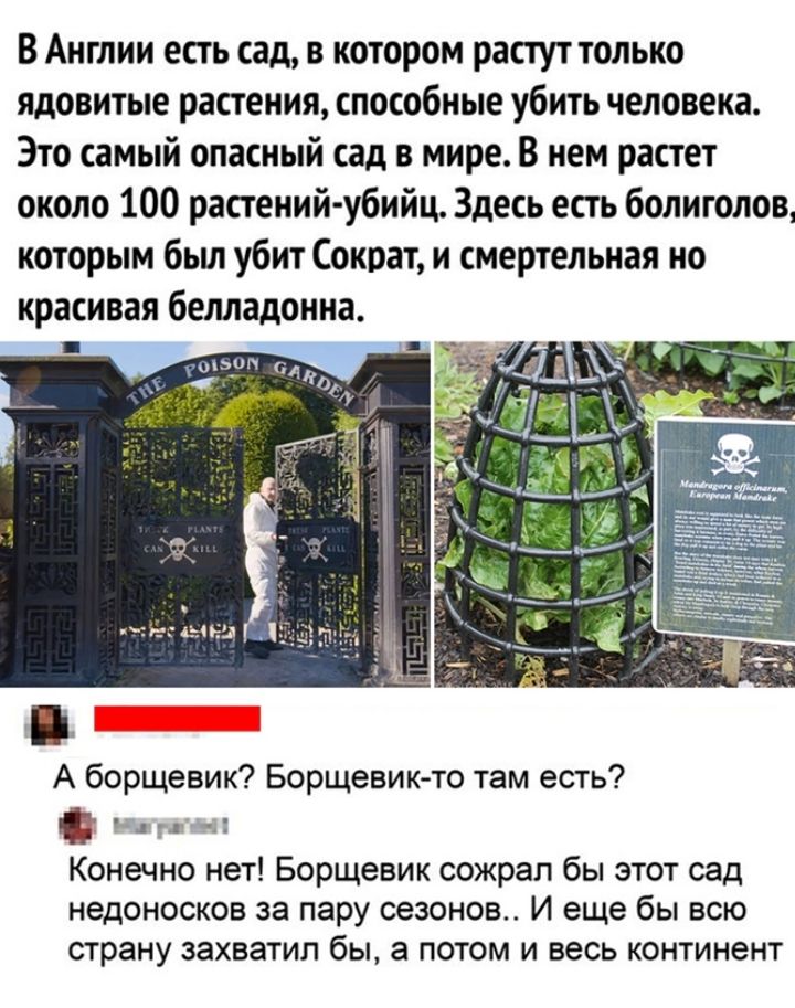 В Англии есть сад в котором растут только ядовитые растения способные убить человека Это самый опасный сад в мире В нем растет около 100 растений убийц Здесь есть болиголов которым бьш убит Сократ и смертельная но красивая белладонна А борщевик Борщевик то там есть л _ч 2 Конечно нет Борщевик сожрал бы этот сад недоносков за пару сезонов И еще бы всю страну захватил бы а потом и весь континент