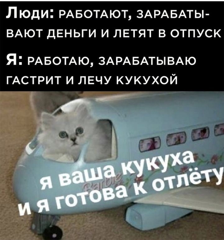 ЛЮДИ РАБОТАЮТ ЗАРАБАТЫ ВАЮТ ДЕНЬГИ И ЛЕТЯТ В ОТПУСК Я РАБОТАЮ ЗАРАБАТЫВАЮ ГАСТРИТ И ЛЕЧУ КУКУХОЙ