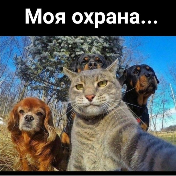 Моя охрана