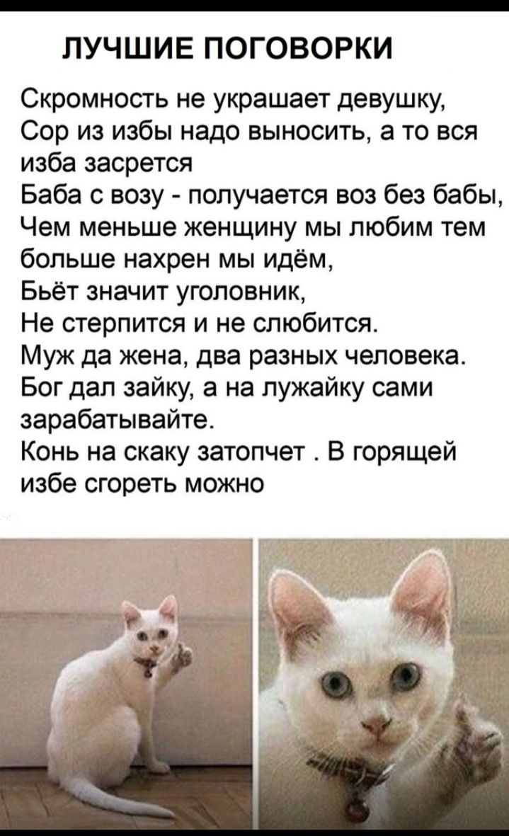 ЛУЧШИЕ ПОГОВОРКИ Скромность не украшает девушку Сор из избы надо выносить а то вся изба засрется Баба с возу получается воз без бабы Чем меньше женщину мы любим тем больше нахрен мы идём Бьёт значит уголовник Не стерпится и не слюбится Муж да жена два разных человека Бог дал зайку а на лужайку сами зарабатывайте Конь на скаку затопчет В горящей избе сгореть можно