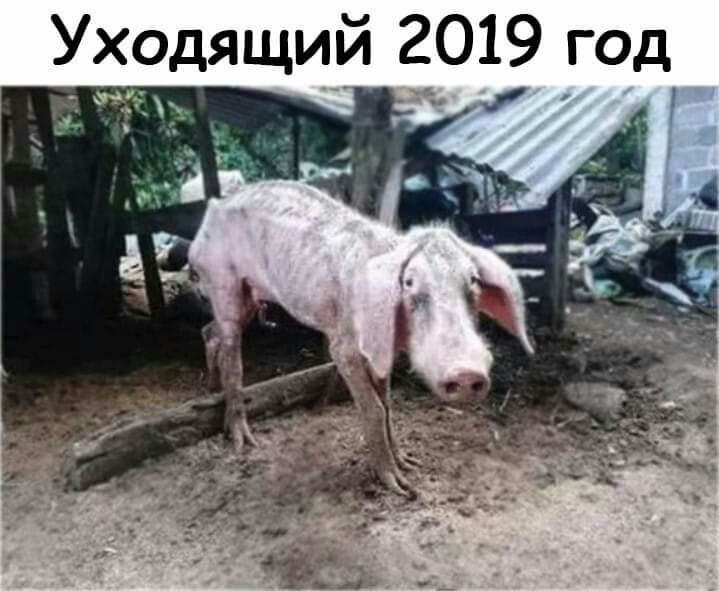 Уходящий 2019 год ЧААГ _