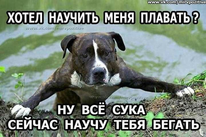ч и міпрое 9