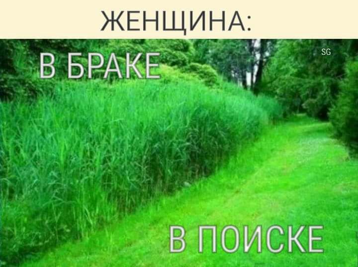 7 56 в БРАКЕъ В ПОИСКЕ