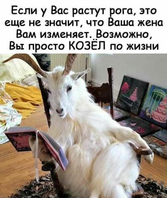 Если у Вас растут рога это еще не значит что Ваша жена Вам изменяет _Возможно Вы просто КОЗЁЛ по жизни