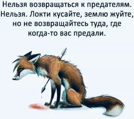 Нельзя возвращаться к предателям Нельзя Локти кусайте землю жуйте но не возвращайтесь туда где когда то вас предали