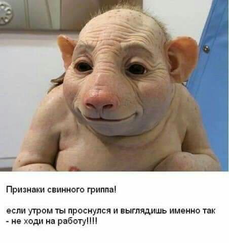 Призннки спинного гриппні если утром ты проснулся и выглядишь имение так не ходи на работу
