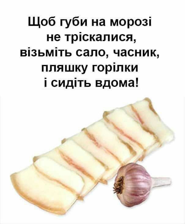 Щоб губи на морозі не тріскапися візьміть сало часник пляшку горілки і сидіть вдома