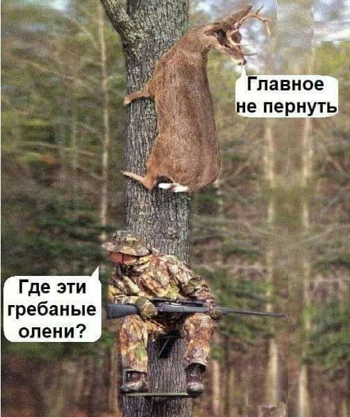 Где эти гребаные