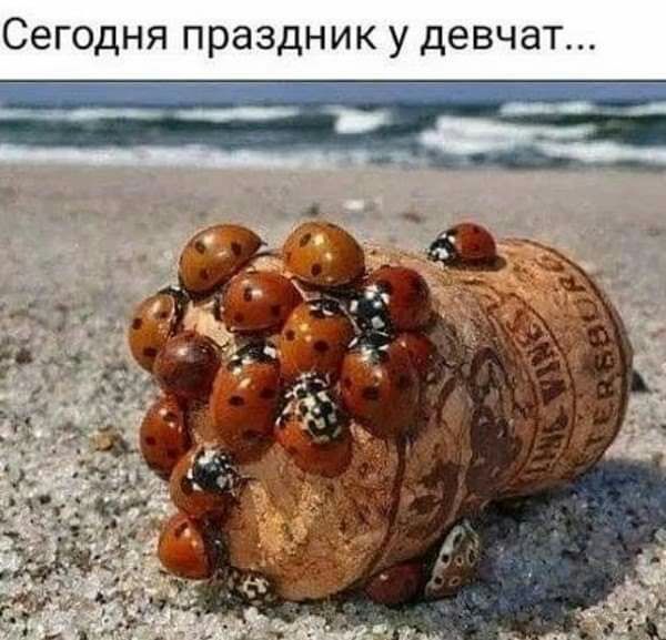 Сегодня праздник у девчат