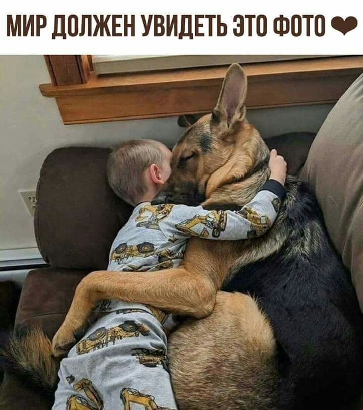 МИР ДОЛЖЕН УВИДЕТЬ ЭТП ФОТО 0
