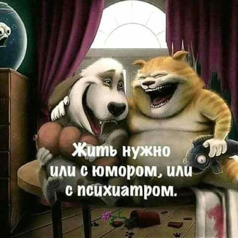 ТЭ 7 ц и В _ г_имсюморомпд с психиатром