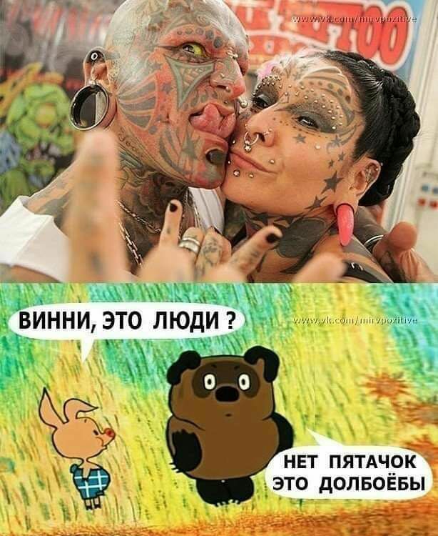 нет пямчрк это долвоевы