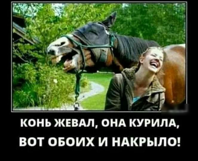 4 КОНЪ ЖЕВАЛ ОНА КУРИЛА ВОТ ОБОИХ И НАКРЫЛО