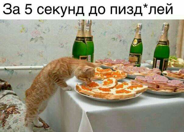 За 5 секунд до пизд лей ЧЧ