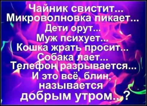 Чайник свистит Микроволновка пикает дети орут Муж психует Г Кошка жрать просит бака нает папе ОЧ разрывается И это всё блин называется Ц добрым утром У