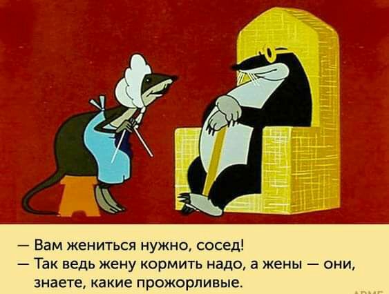 Вам жениться нужно сосед _ Так ВЕДЬ жену КОрМИТЬ Надо а ЖЕНЫ ОНИ знаете какие прожорливые