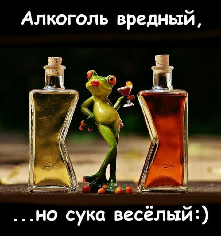 Алкоголь вредный но сука весёлый