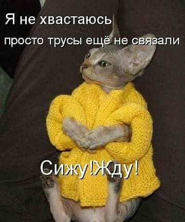 7 Я не хвастаюсь просто трусы в не ели