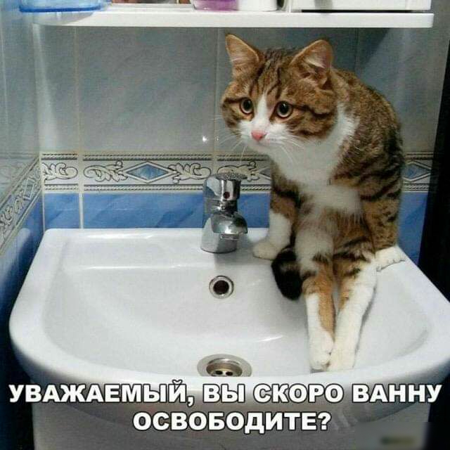 УВАЖАЕМЫЙ ВЫЗКФРФ ВАННУ ОСВОБОДИТЕ