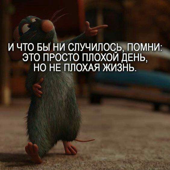 И ЧТО БЫ НИ СЛУЧИПОСЬ ПОМНИ _ ЭТО ПРОСТО ППОХОЙ ДЕНЬ НО НЕ ПЛОХАЯ ЖИЗНЬ