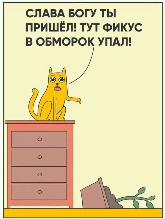 СЛАВА БОГУ ТЫ ПРИШЁЛ ТУТ ФИКУС В ОБМОРОК УПАЛ