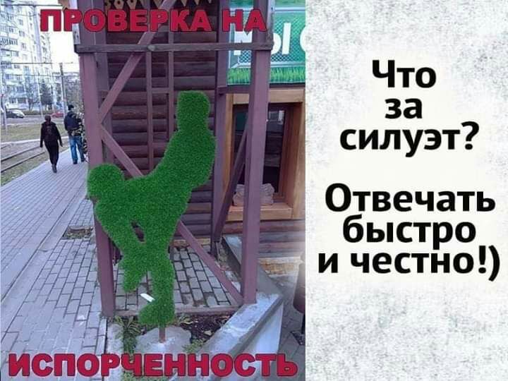 Что за силуэт Отвечать быстро и честно