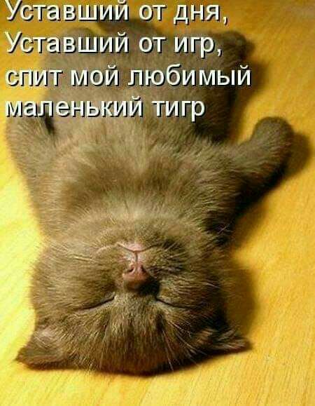 УЫЁЕШИЙ ад дни