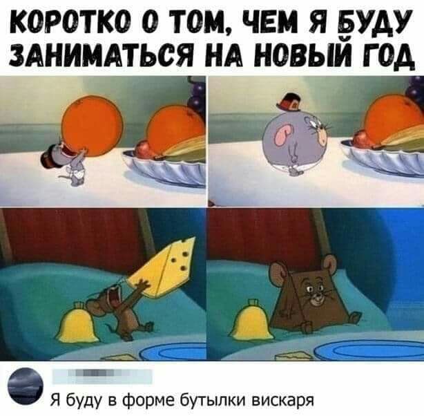 КОРОТКО О ТОМ ЧЕМ Я БУДУ ЗАНИМАТЬОЯ НА НОВЫЙ Г ОА Я буду в форме бутылки вискаря