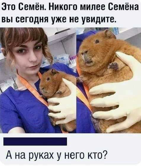 Зто Семён Никого милее Семёна вы сегодня уже не увидите А на руках у него кто