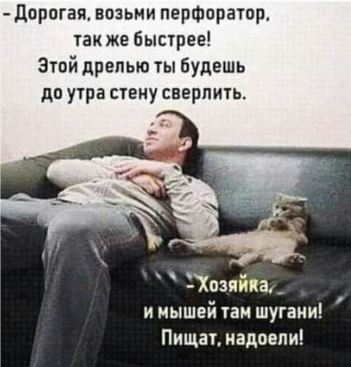 дорогая возьми перфоратор так же быстрее Этой дрелью ты будешь до утра стену сверлить и мышей там шугани Пищат надоели