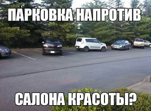 3239 м1 1 сплондивпеот _ь