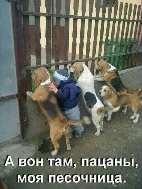 ё А вбн тамПацаньі моя песочница