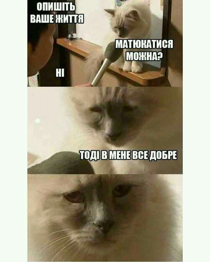 мітюкдтисп тможнт 5
