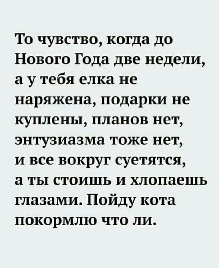 То чувство когда до Нового Года две недели а у тебя елка не наряжена подарки не куплены планов нет энтузиазма тоже нет и все вокруг суетятся а ты стоишь и хлопаешь глазами Пойду кота покормлю что ли