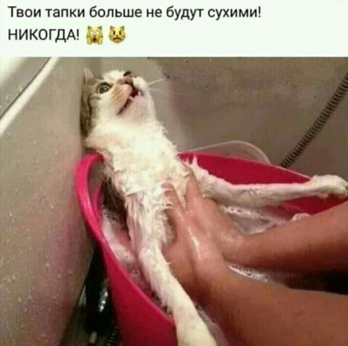 Твои тапки больше не будут сухими НИКОГДА и и
