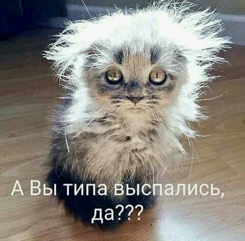 Вы типа вь С 2 А 5 да