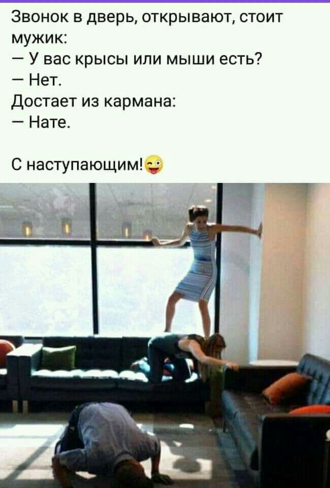 Звонок в дверь открывают стоит мужик У вас крысы или мыши есть Нет Достает из кармана Нате С наступающим