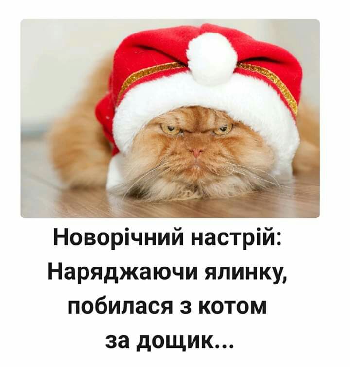 Новорічний настрій Наряджаючи ялинку побипася з котом за дощик