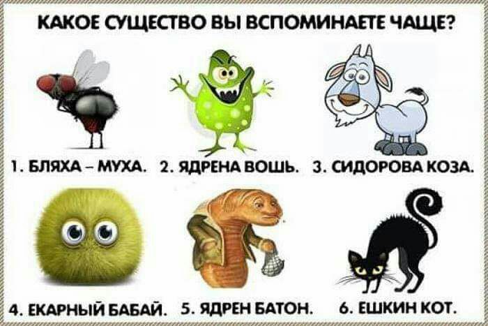 КАКОЕ СУЩЕСТВО ВЫ ВСПОМИНАЕТЁ